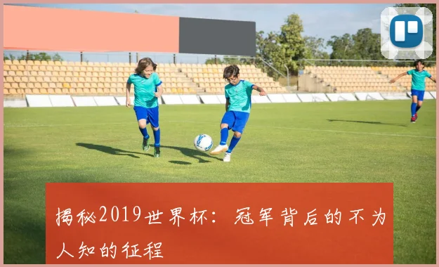 揭秘2019世界杯：冠军背后的不为人知的征程