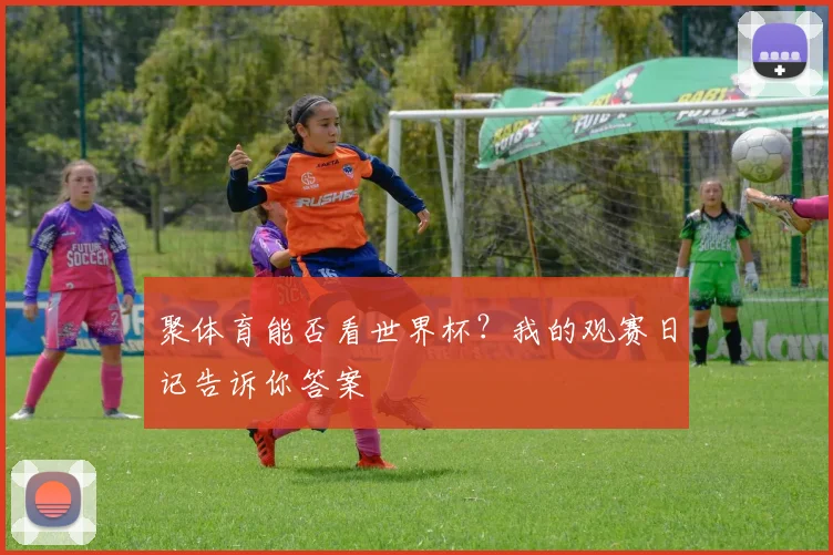 聚体育能否看世界杯？我的观赛日记告诉你答案