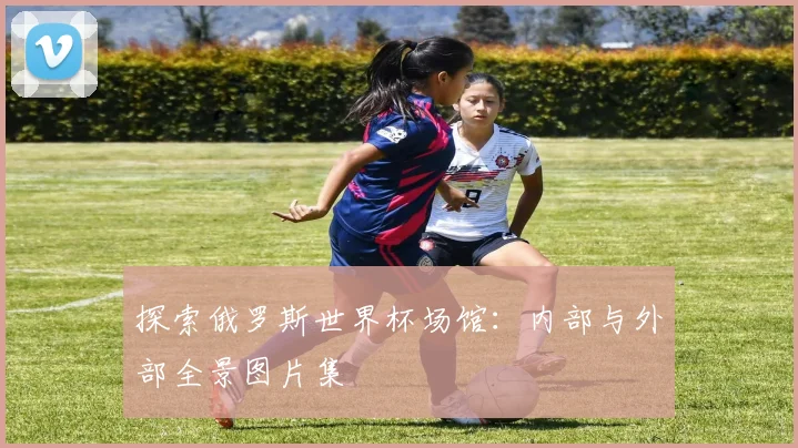 探索俄罗斯世界杯场馆：内部与外部全景图片集
