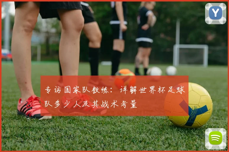 专访国家队教练:详解世界杯足球队多少人及其战术考量