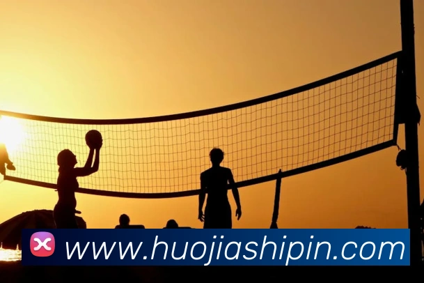 三亿体育官网登录平台生态图